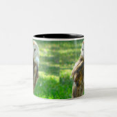 Tasse 2 Couleurs Barn Owl Nature (Centre)