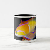 Tasse 2 Couleurs Barre blanche Anthias (Centre)