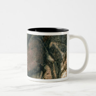 Tasse 2 Couleurs Basculez la peinture d'un taureau noir, c.17000