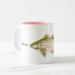 Tasse 2 Couleurs Basse striée | Musique de poisson