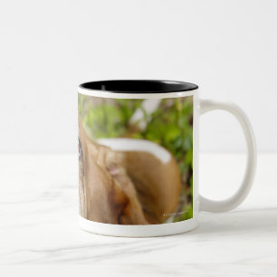 Tasse 2 Couleurs Basset Hound 2