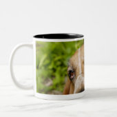 Tasse 2 Couleurs Basset Hound 2 (Gauche)