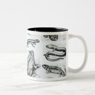 Tasse 2 Couleurs Batraciens et d'autres amphibiens