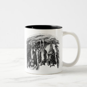 Tasse 2 Couleurs Batte vintage de Fox de vol de 1800s de batte