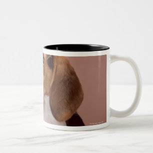 Tasse 2 Couleurs Beagle