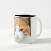 Tasse 2 Couleurs Beau chat rouge (Devant droit)