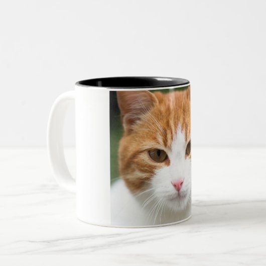 Tasse 2 Couleurs Beau chat rouge (Devant gauche)