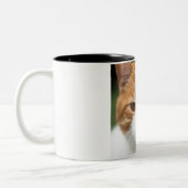 Tasse 2 Couleurs Beau chat rouge (Gauche)