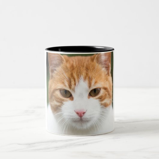 Tasse 2 Couleurs Beau chat rouge (Centre)
