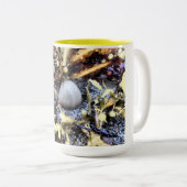 Tasse 2 Couleurs Beau Coquillage (Devant droit)