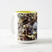 Tasse 2 Couleurs Beau Coquillage (Devant gauche)