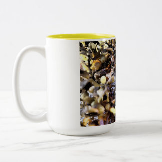 Tasse 2 Couleurs Beau Coquillage