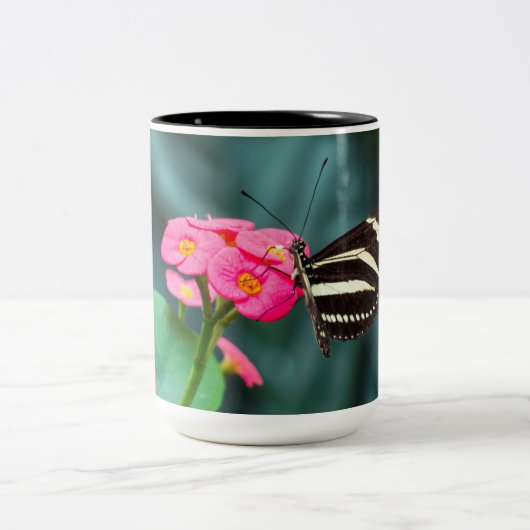Tasse 2 Couleurs Beau papillon (Centre)