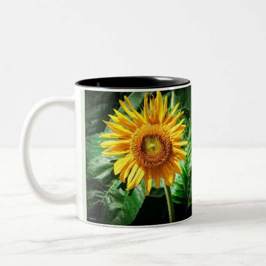 Tasse 2 Couleurs Beauté Tournesol (Gauche)