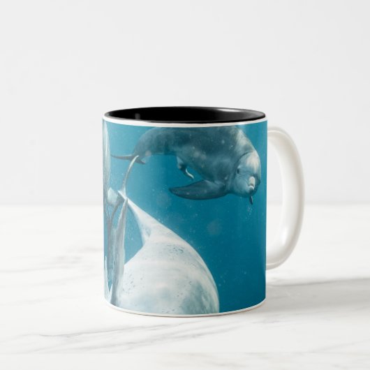 Tasse 2 Couleurs Beaux dauphins mignons (Devant droit)