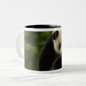 Tasse 2 Couleurs Bébé panda géant (Devant gauche)