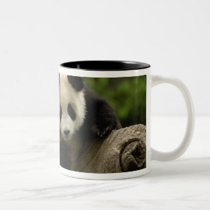 Tasse 2 Couleurs Bébé panda géant