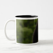 Tasse 2 Couleurs Bébé panda géant (Gauche)