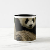 Tasse 2 Couleurs Bébé panda géant (Ailuropoda melanoleuca) (Centre)