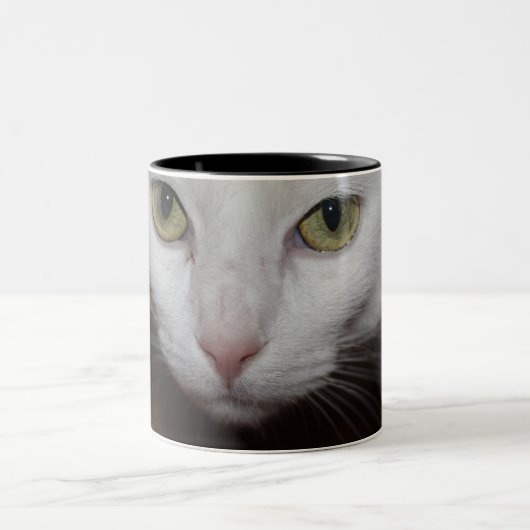 Tasse 2 Couleurs Belle Chat Blanc (Centre)
