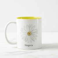 Belle fleur de marguerite sur fond blanc
