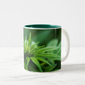 Tasse 2 Couleurs Belle herbe (Devant droit)