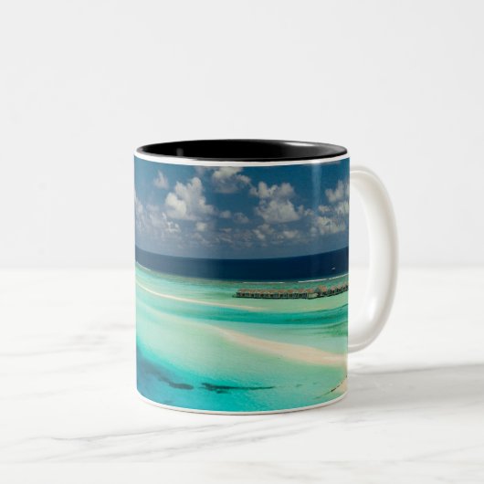 Tasse 2 Couleurs Belles Créatures Océaniques (Devant droit)