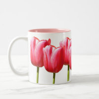 Belles fleurs roses de tulipe