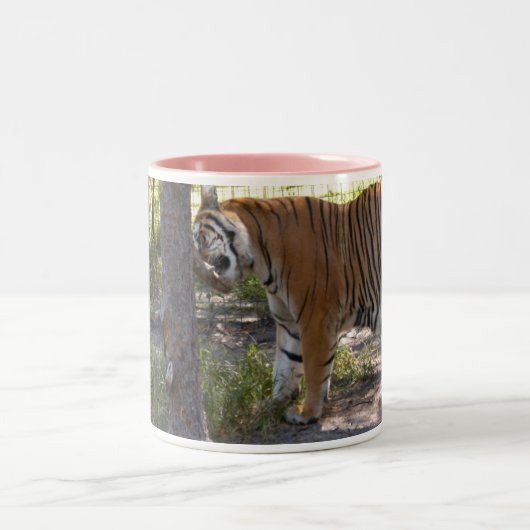 Tasse 2 Couleurs Bengali 008 de tigre (Centre)