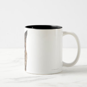 Tasse 2 Couleurs Berger allemand