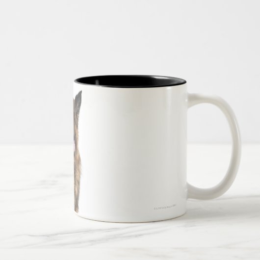 Tasse 2 Couleurs Berger allemand (Droit)