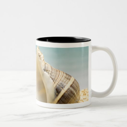 Tasse 2 Couleurs Bernard l'ermite regardant une plus grande (Droit)