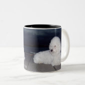 Tasse 2 Couleurs Bichons au crépuscule (Devant droit)