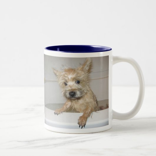 Tasse 2 Couleurs Bilgewater (Droit)