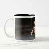 Tasse 2 Couleurs Billet à bec, Ajaia ajaja, Ding Darling (Gauche)