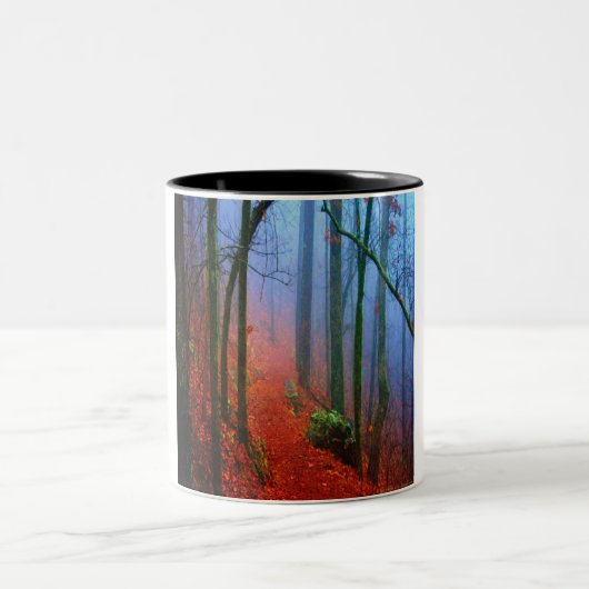 Tasse 2 Couleurs Blue fog (Centre)