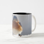 Tasse 2 Couleurs Bluebird (Devant droit)