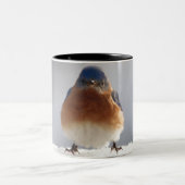 Tasse 2 Couleurs Bluebird (Centre)