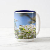 Tasse 2 Couleurs Bluebird de montagne (Devant droit)