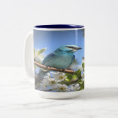 Tasse 2 Couleurs Bluebird de montagne (Devant gauche)