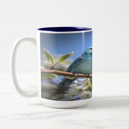 Tasse 2 Couleurs Bluebird de montagne (Gauche)