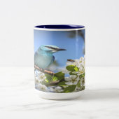 Tasse 2 Couleurs Bluebird de montagne (Centre)