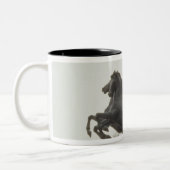 Tasse 2 Couleurs Boadicea, 1902 (Gauche)