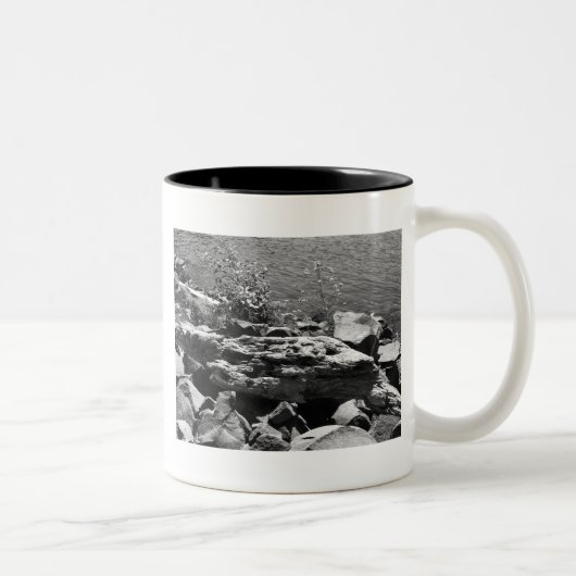 Tasse 2 Couleurs Bois de dérive (Droit)