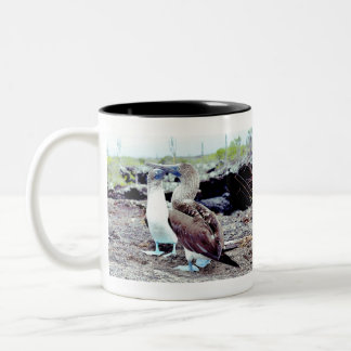 Tasse 2 Couleurs Boobies aux pieds bleus Oiseaux des Galapagos