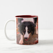 Tasse 2 Couleurs Bordure Collie Stare Personnalisé (Gauche)