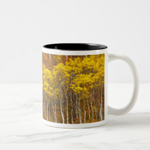 Tasse 2 Couleurs bosquet de peupliers trembles en couleur d'automne