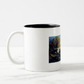 Tasse 2 Couleurs boston commun (Gauche)