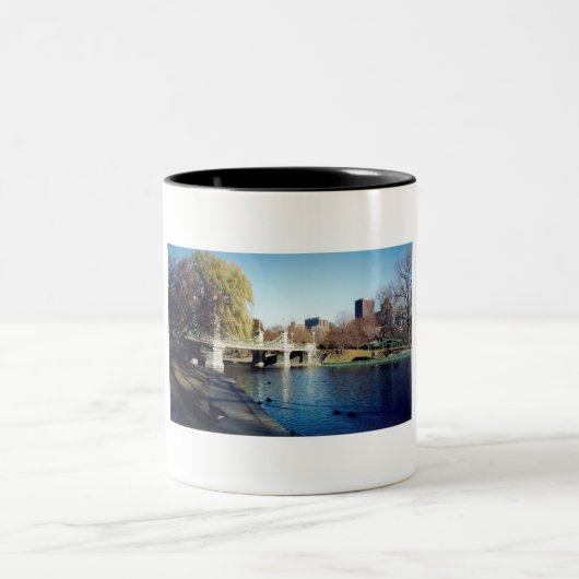 Tasse 2 Couleurs boston commun (Centre)