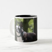 Tasse 2 Couleurs Boston Terrier (Devant gauche)